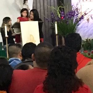 Meet your Posher, Janie